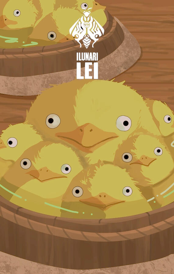 ducks